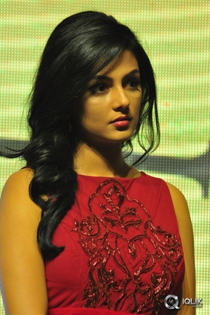 Anisha-Ambrose-at-Run-Movie-Audio-Launch